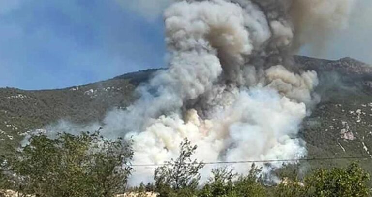 denizlide-yangin-panigi-alevler-ormanlik-alanda-sicradi-yfRl3PMm.jpg