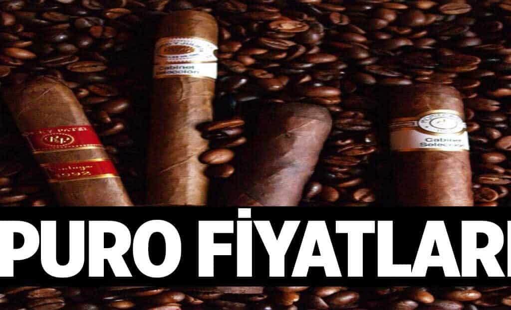 Puro Fiyatlari 1024x622I1F.jpg