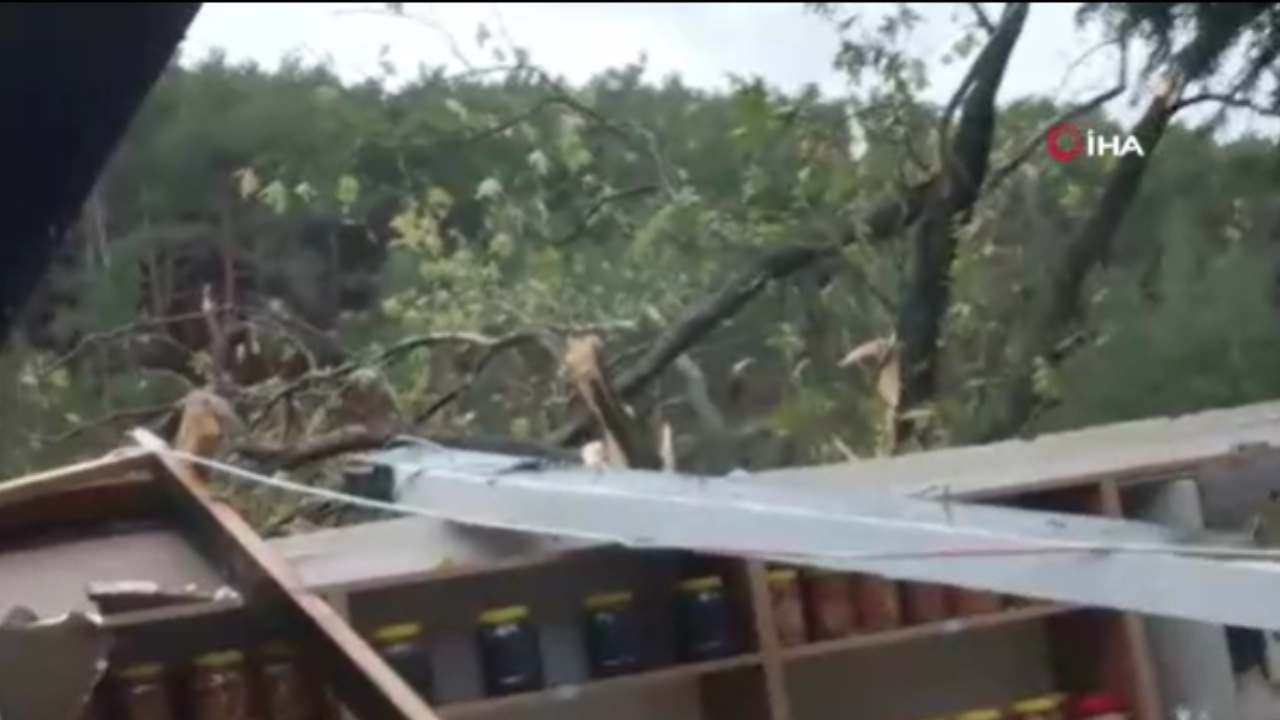 balikesirde hortum agaclari kokunden soktu zFdexzWw.jpg