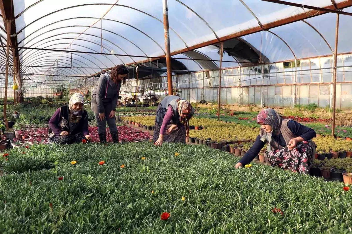 mugla buyuksehir belediyesinden kadin kooperatiflerine destek GfhX8aub.jpg