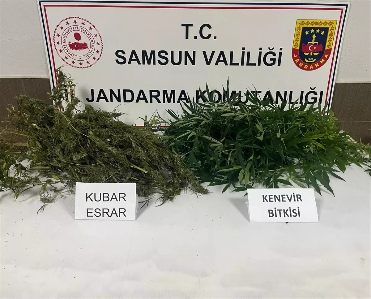 Samsun’da Uyuşturucu Operasyonu: 1 Şüpheli Gözaltında