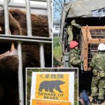 ayi saldirilari kontrolden cikti askerler sahaya iniyor 1CV1LlO8.jpg