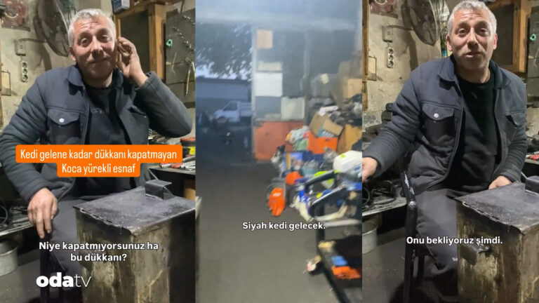 tokatta-esnafin-kedi-mesaisi-on-dakikaya-gelir-lNjDGmHs.jpg
