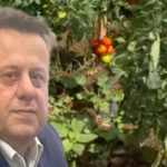 Baskan adayindan ezber bozan canli yayin ne ekersen o oluyor topragi bos birakmayin U6QBPKjy